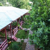 使いませんでしたが、庭にはこんな緑に囲まれたテラスも。