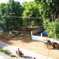 屋上からの眺めはこんな感じ。のんびりした村の風景。
