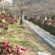 南禅寺から銀閣寺までの散歩・・・・・・・どの季節もそれぞれ好きだなー＾−＾≪哲学の道≫