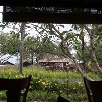 朝食はここで（写真では暗いですが実際は明るいです）