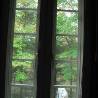お部屋の窓から。緑が綺麗です。夏はカブトムシやら採れそう！