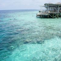 ハウスリーフでシュノーケリング。Barからエントリーできます