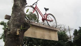 サイクリングしたよ。