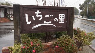 南知多『いちごの里』でイチゴ狩り♪