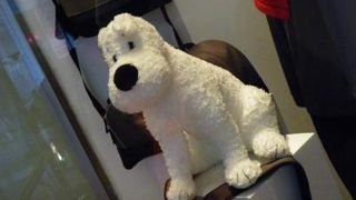 たくさんのタンタングッズに出会えます！