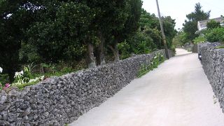 歩くだけでも楽しい