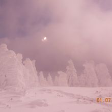 樹氷見学ツアーではこんな素晴らしい樹氷が見れます!!