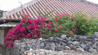 話のタネにいけばよいか