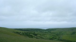 シーズンが大事ですね