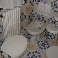 絶対、付いてるビデ