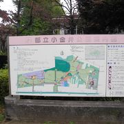 小金井公園で遊んだ後は、温泉ですね。