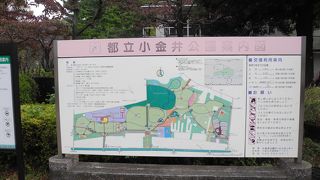 小金井公園で遊んだ後は、温泉ですね。
