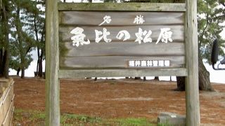日本三大松原の１つ