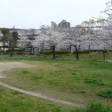 毛馬桜之宮公園の光景
