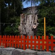 鎌倉では、鶴岡八幡宮で参拝を