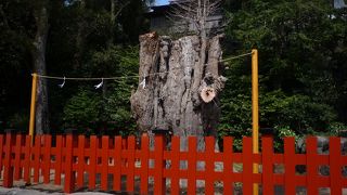 鎌倉では、鶴岡八幡宮で参拝を