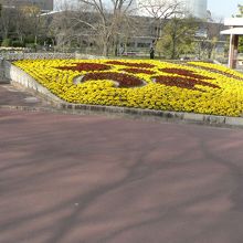 万博記念公園の自然文化園の光景