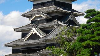 さすが国宝！天守閣の急峻な階段、ぜひ上ってみてください