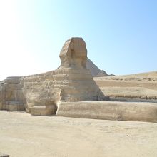 実は前足がみょーに長い。顔が陰っています。午前中がおすすめ。