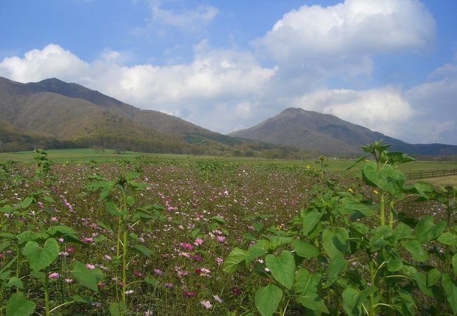 蒜山高原のおすすめ観光スポット クチコミ人気ランキングtop フォートラベル 岡山県 蒜山高原のおすすめ観光スポット クチコミ人気ランキングtop フォートラベル 岡山県