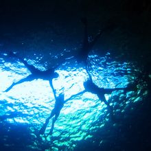 グロットシュノーケリング参加者みんなで輪になって