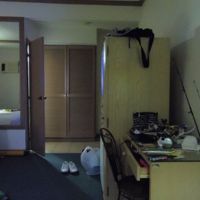 テレビで日本放送もあり