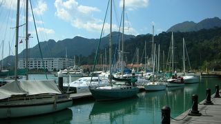 ヨットハーバーを囲んで