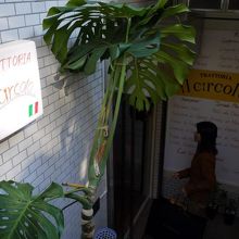 トラットリア イル チルコロ