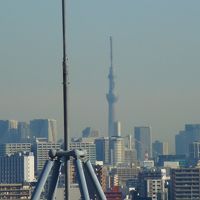 東京スカイツリーも見えました