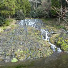 老野湧水の滝（全景）