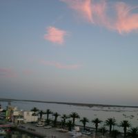 見事なオーシャンビューっす。