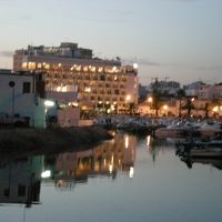 夕方撮ったらちょいとピンぼけ。すんません。