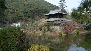 紅葉シーズンに