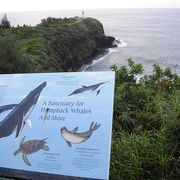 ハワイ諸島最北端のキラウエア灯台。ゲートのオープン時間に要注意
