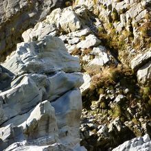獅子岩とのこと。そういえばなんとなく。