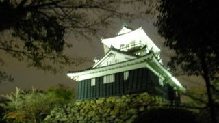 徳川家康縁の城