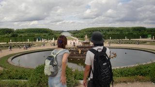 このコップ洗ってんの？