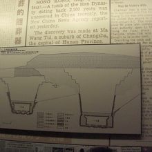 遺跡断面図？