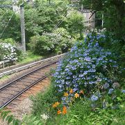 小涌谷駅の絶景ポイントはここ