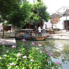 プランターのお花も色鮮やか♪