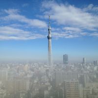 窓からのスカイツリー