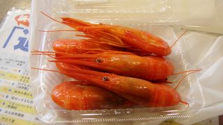 北海シマエビがありました。