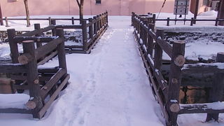 まさに都会のオアシスです