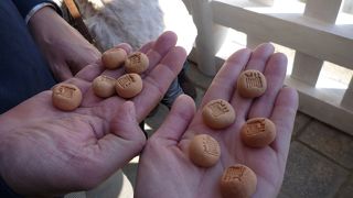 今まで見たことのない神宮