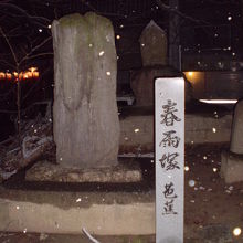 笠寺やもらぬ岩屋も春乃雨　芭蕉の句碑もあります。