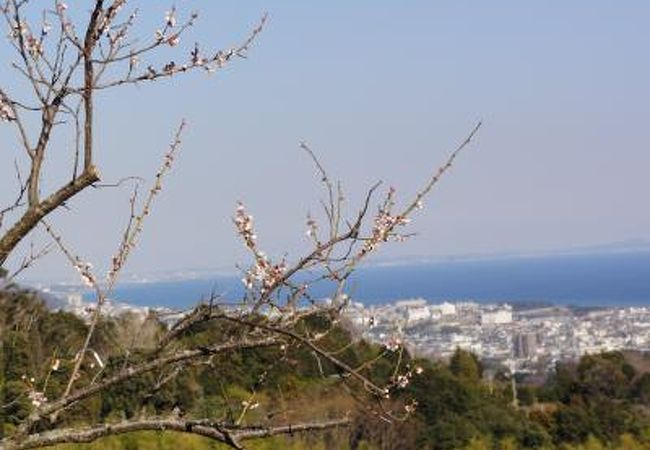 辻村植物公園 クチコミ アクセス 営業時間 小田原 フォートラベル 辻村植物公園 クチコミ アクセス 営業時間 小田原 フォートラベル