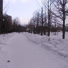 駅前通をそのまま突き進むと公園内へと入ります
