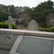 外国人墓地の墓石のいろいろな形状に個性があります。