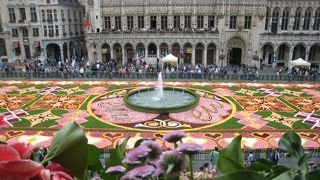 ２年に１度開催されるフラワーカーペット