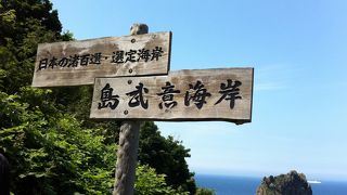 蒼さが目に染みる